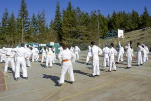 10991411_832584320151531_4845208339738136957_n