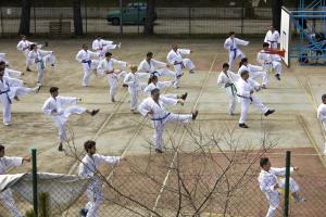 11117238_832601543483142_8610058557336992118_n