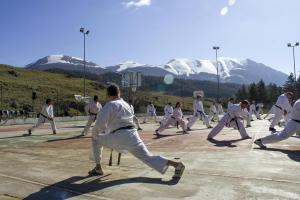 11156183_832589846817645_6558512264788001287_n